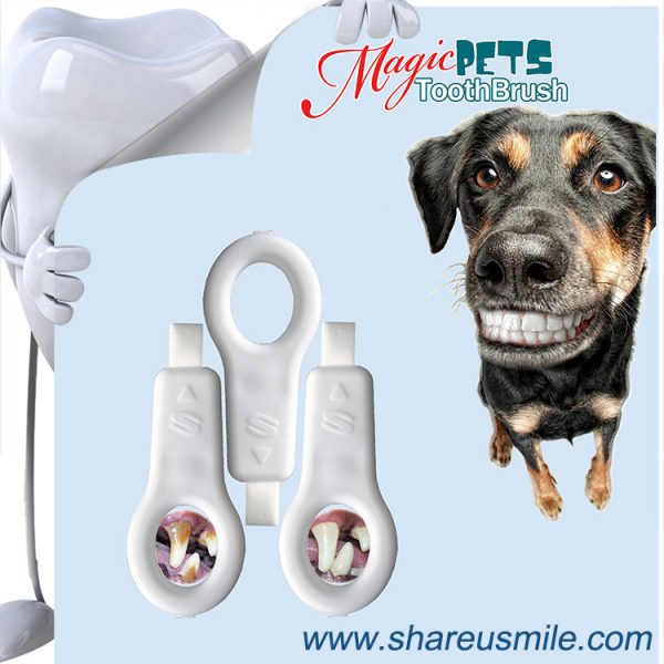 BEST-CAT-&-DOG-TOOTHBRUSH–New-Patent-Products-Best-Sellers-Dog-Toothbrushes-