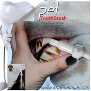 High Demand Products shareusmile pet toothbrush dog teeth cleaning stick