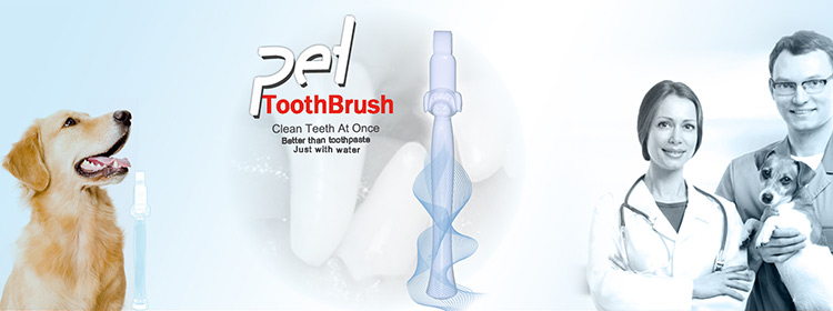 Pet toothbrush from shareusmile dog toothbrush company