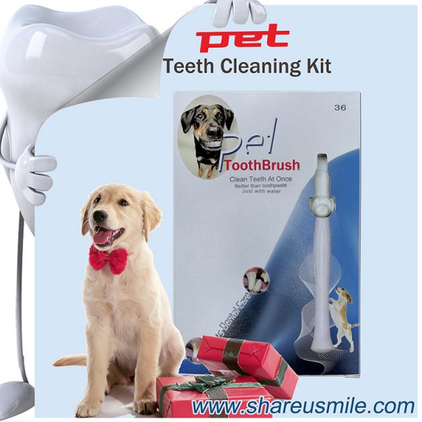 shareusmile pet toothbrush combo pack in office teeth whitening for your dog
