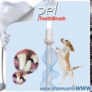 an-effective-and-easy-use-dog-toothbrush-product-worked-great-from-shareusmile