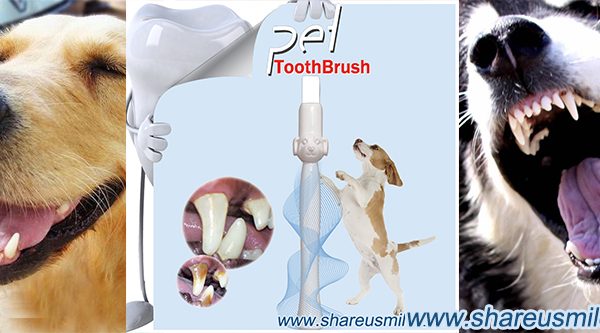 an-effective-and-easy-use-dog-toothbrush-product-worked-great-from-shareusmile