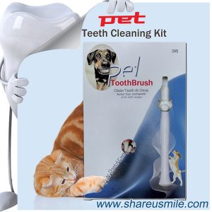 Dog dental care toothbrush products designed for pets