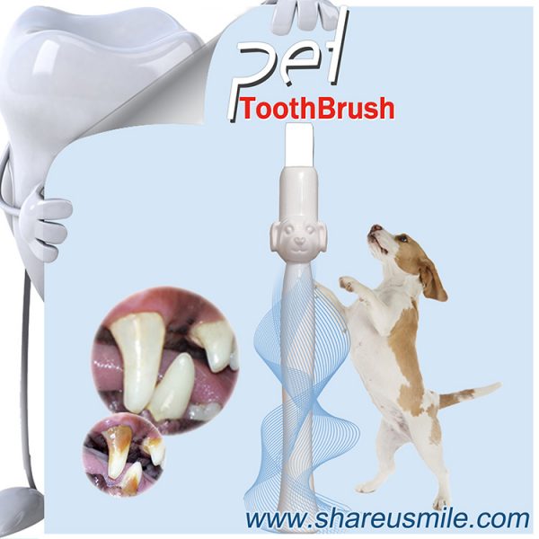 Most Effective Toothbrush for Dogs from Shareusmile