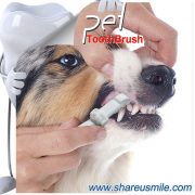 ShareUsmile most effective dog toothbrush and dog teeth cleaning kit