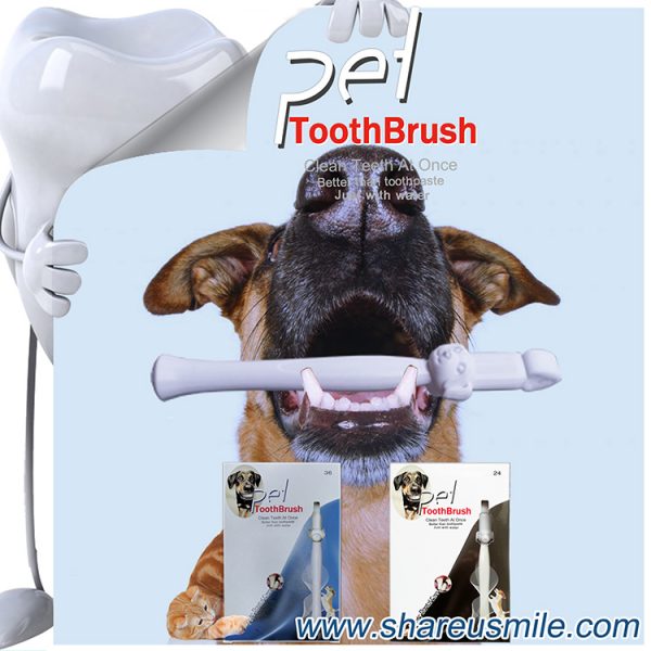 Best dog toothbrush Wholesale new dog toothbrush stick Pet Products Chinese Factory Direct & Fast Shipping‎