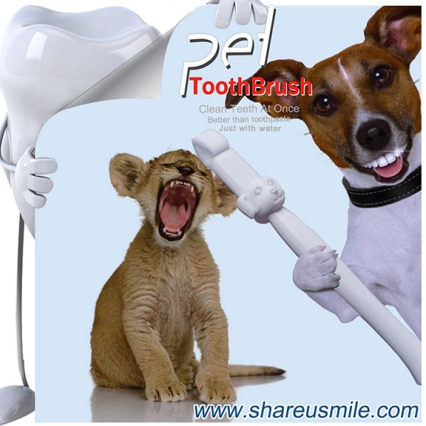 Best dog toothbrush Wholesale shareusmile pet teeth cleaning kit Pet Products Chinese Manufacturer‎