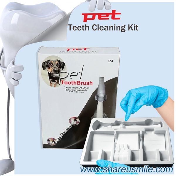 Best dog toothbrush Wholesale shareusmile pet teeth cleaning kit new dog toothbrush stick