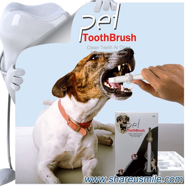 Best dog toothbrush Wholesale shareusmile pet teeth cleaning kit new dog toothbrush stick Pet Products Chinese Factory Direct & Fast Shipping‎