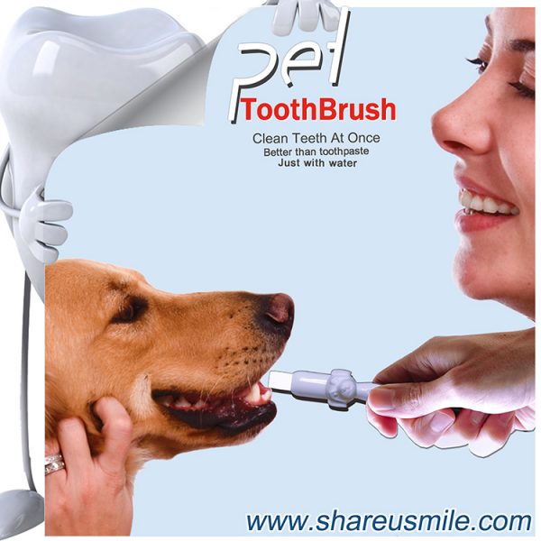 Best dog toothbrush Wholesale shareusmile pet teeth cleaning kit new dog toothbrush stick Pet Products Chinese Factory Fast Shipping‎