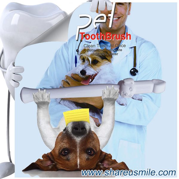 Best dog toothbrush Wholesale shareusmile pet teeth cleaning kit new dog toothbrush stick Pet Products Chinese Manufacturer‎ (2)