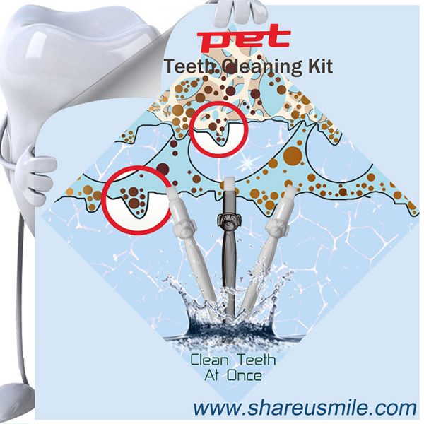 Wholesale Shareusmile New pet toothbrush dog safe and effective teeth cleaning kit