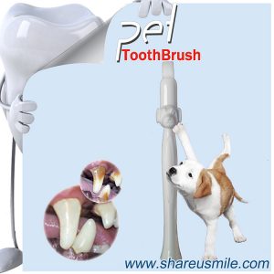 Wholesale Shareusmile New pet toothbrush dog teeth cleaning kit in minutes