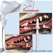 Wholesale Shareusmile New pet toothbrush effective dog teeth cleaning kit